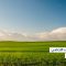 شراء الأراضي في تركيا